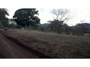 LA CHORRERA / ARENOSA / 12 HECTAREAS / FINCA CON CABAÑA