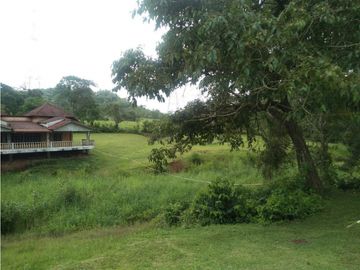 LA CHORRERA / ARENOSA / 12 HECTAREAS / FINCA CON CABAÑA