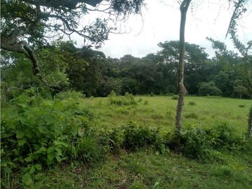 LA CHORRERA / ARENOSA / 12 HECTAREAS / FINCA CON CABAÑA