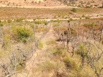 Parcela en Venta en Camino Lo Ovalle Ruta F850 KM 7