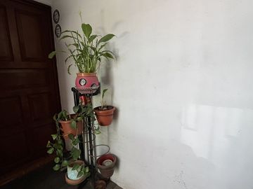 DEPARTAMENTO EN VALLE DE ARAGÓN 1RA SECCIÓN