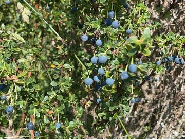 Parcela En Venta En Valle Simpson - CERCA DE COIHAIQUE