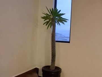 CASA SEMINUEVA EN PRIVADA EXCLUSIVA EN ALVENTO HABITAT