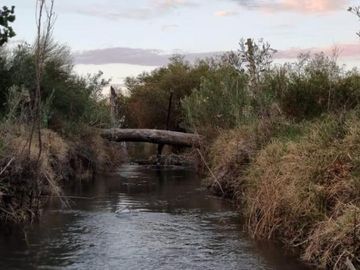 Finca en venta - 2 Dormitorios 1 Baño - 45.000mts2 - Mendoza