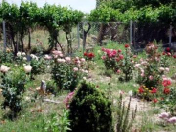 Finca en venta - 2 Dormitorios 1 Baño - 45.000mts2 - Mendoza