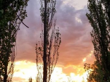 Finca en venta - 2 Dormitorios 1 Baño - 45.000mts2 - Mendoza
