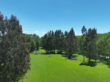 PARCELA  A 20 MINUTOS DEL LAGO RANCO