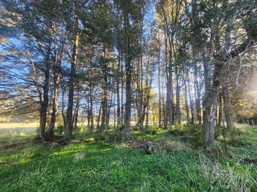 Parcela en venta en AYSÉN