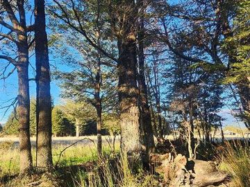 Parcela en venta en AYSÉN