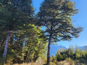 Parcela en venta en AYSÉN