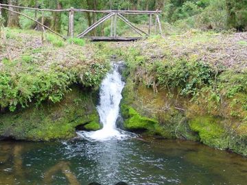 Parcela en venta en CISNES