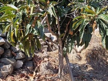 Terreno Construccion  en Venta en Huanhuali