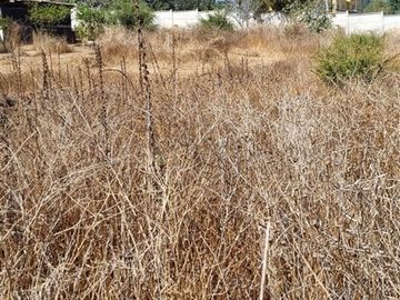 Terreno Construccion  en Venta en Huanhuali
