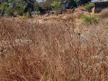 Terreno Construccion  en Venta en Huanhuali