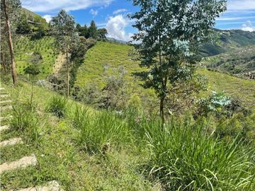 Finca el Retiro Vereda Nazareth