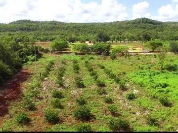 Finca en Yucatán a 1 hr del Periférico de Mérida