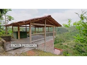 VENDO FINCA HOTEL FILANDIA - QUINDIO