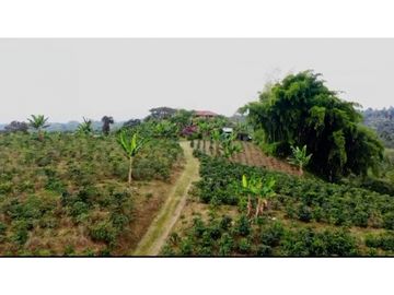 VENDO FINCA HOTEL FILANDIA - QUINDIO
