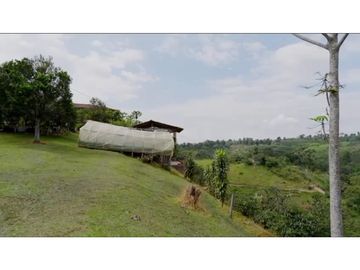 VENDO FINCA HOTEL FILANDIA - QUINDIO