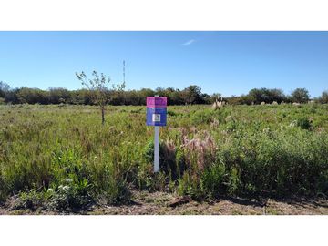 Oliveros: Terrenos de 482 m2 en Venta financiados en Barrio de Quintas, Oliveros, Santa Fe, Argentina