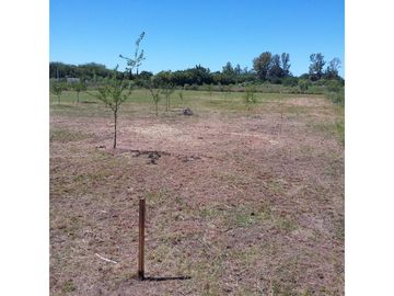 Oliveros: Terrenos de 482 m2 en Venta financiados en Barrio de Quintas, Oliveros, Santa Fe, Argentina