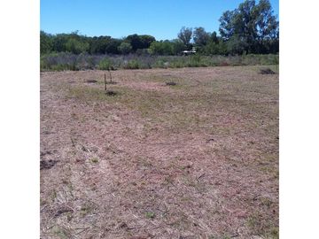 Oliveros: Terrenos de 482 m2 en Venta financiados en Barrio de Quintas, Oliveros, Santa Fe, Argentina