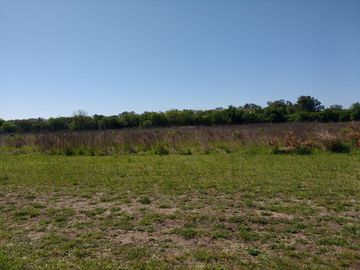 Oliveros: Terrenos de 482 m2 en Venta financiados en Barrio de Quintas, Oliveros, Santa Fe, Argentina