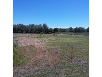 Oliveros: Terrenos de 482 m2 en Venta financiados en Barrio de Quintas, Oliveros, Santa Fe, Argentina