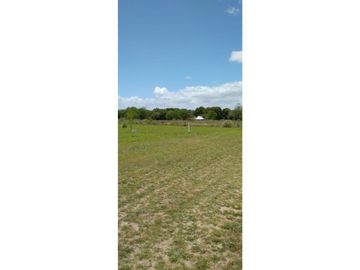 Oliveros: Terrenos de 482 m2 en Venta financiados en Barrio de Quintas, Oliveros, Santa Fe, Argentina
