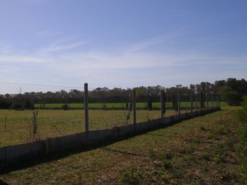 Oliveros: Terrenos de 482 m2 en Venta financiados en Barrio de Quintas, Oliveros, Santa Fe, Argentina