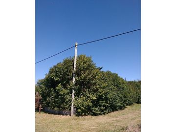Oliveros: Terrenos de 482 m2 en Venta financiados en Barrio de Quintas, Oliveros, Santa Fe, Argentina
