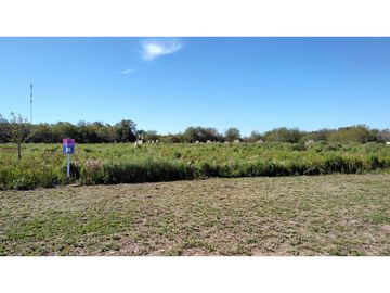 Oliveros: Terrenos de 482 m2 en Venta financiados en Barrio de Quintas, Oliveros, Santa Fe, Argentina