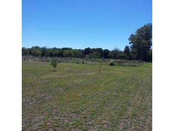Oliveros: Terrenos de 482 m2 en Venta financiados en Barrio de Quintas, Oliveros, Santa Fe, Argentina