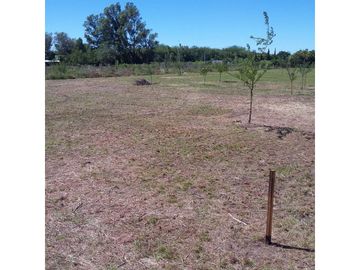 Oliveros: Terrenos de 482 m2 en Venta financiados en Barrio de Quintas, Oliveros, Santa Fe, Argentina