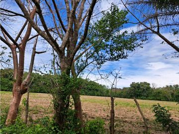 VENDO 38 HECTAREAS EN SAN.JUAN