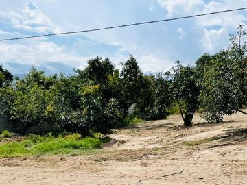 Venta terreno Guayllabamba cerca al zoológico