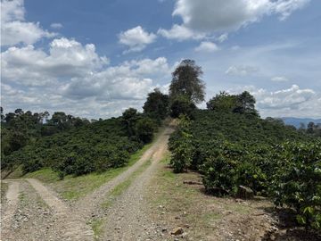 Se Vende Finca Cafetera Entre Alcala y Quimbaya
