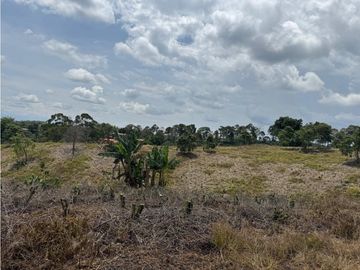 Se Vende Finca Cafetera Entre Alcala y Quimbaya