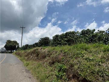 Se Vende Finca Cafetera Entre Alcala y Quimbaya