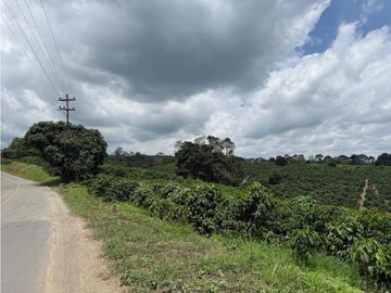 Se Vende Finca Cafetera Entre Alcala y Quimbaya