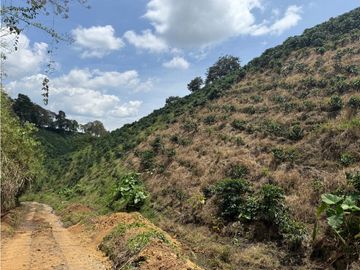 Se Vende Finca Cafetera Entre Alcala y Quimbaya