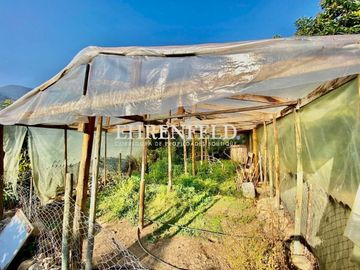 Olmué. Casa en condominio, con negocio de paltos funcionando.