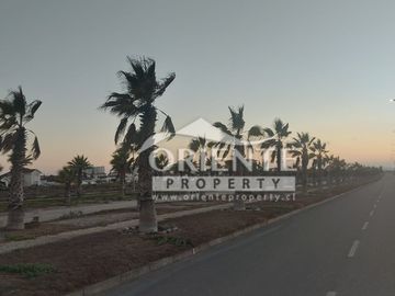 LA SERENA GOLF