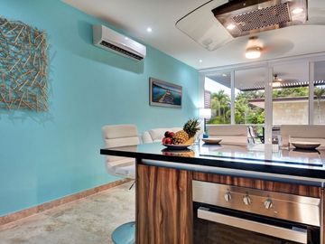Terrazas Condo 1