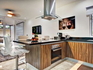 Terrazas Condo 1