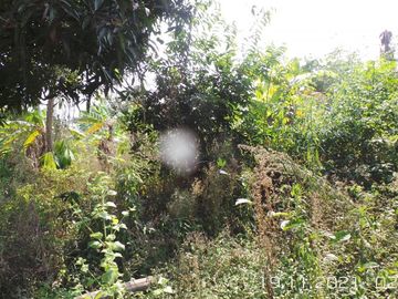 Venta de Terreno Urbano en Chone