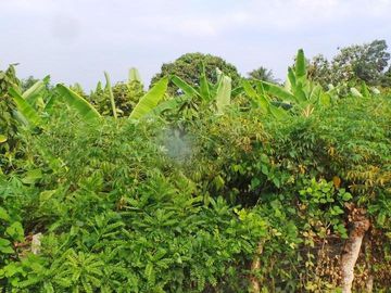 Venta de Terreno Urbano en Chone