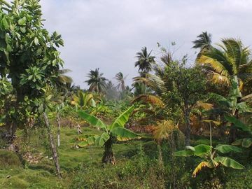 Venta de Terreno Urbano en Chone