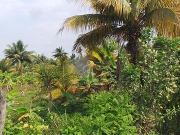 Venta de Terreno Urbano en Chone