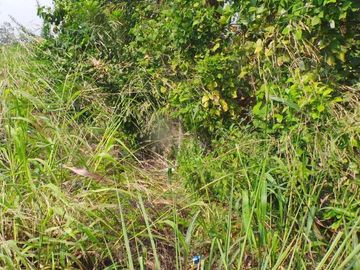 Venta de Terreno Urbano en Chone